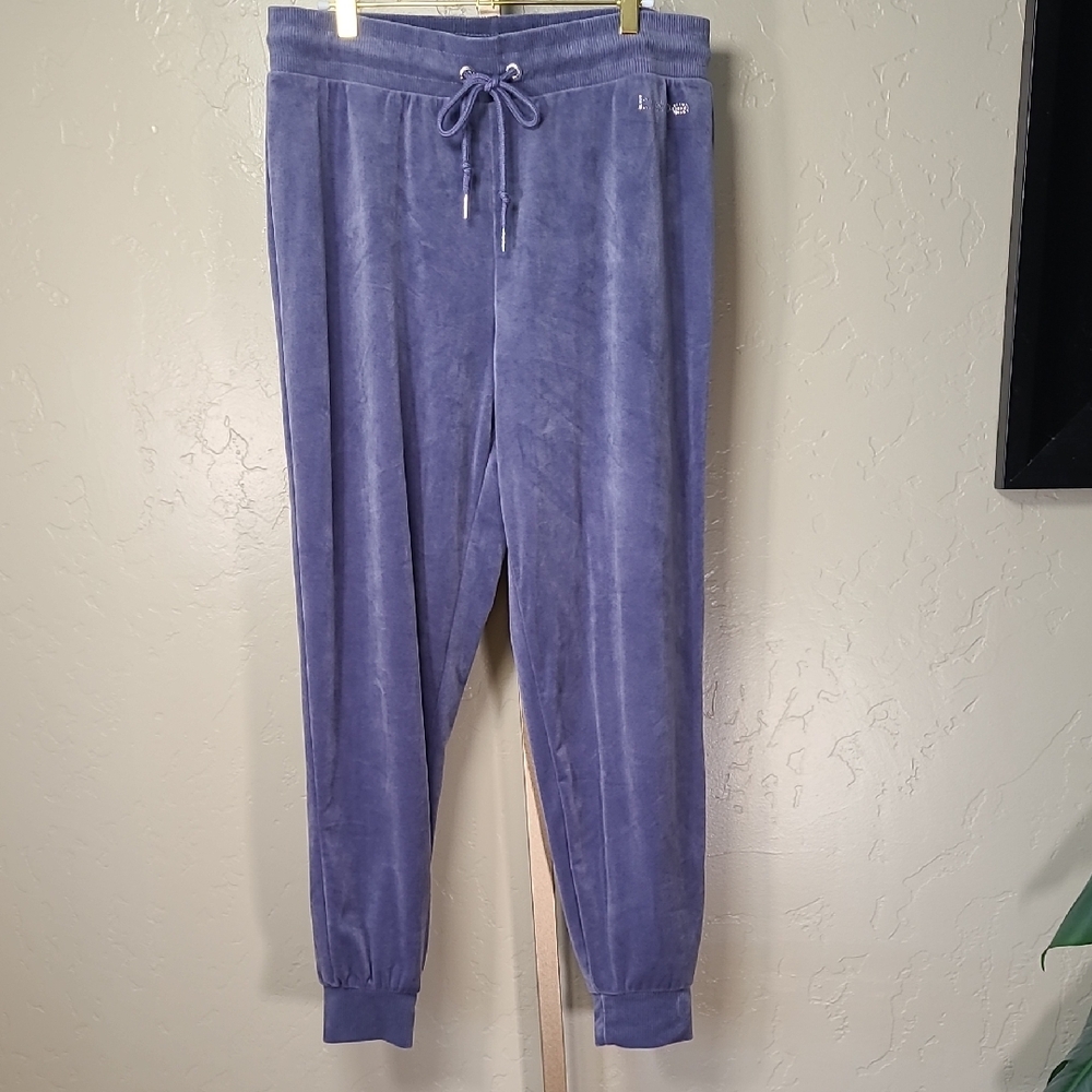 Bebe Sport Lavender Gray Velour Hoodie and Joggers Set Large - Picture 10 of 16
